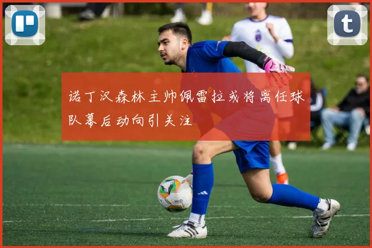 诺丁汉森林主帅佩雷拉或将离任球队幕后动向引关注