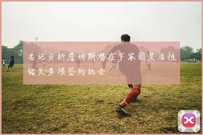 名记分析詹姆斯潜在下家因灵活性错失多项签约机会