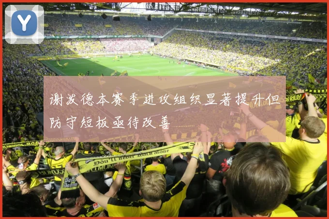 谢泼德本赛季进攻组织显著提升但防守短板亟待改善